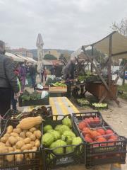 Tržnica v Luciji (4)